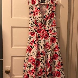 Hearts & Roses Fit and Flair Pinup Dress.